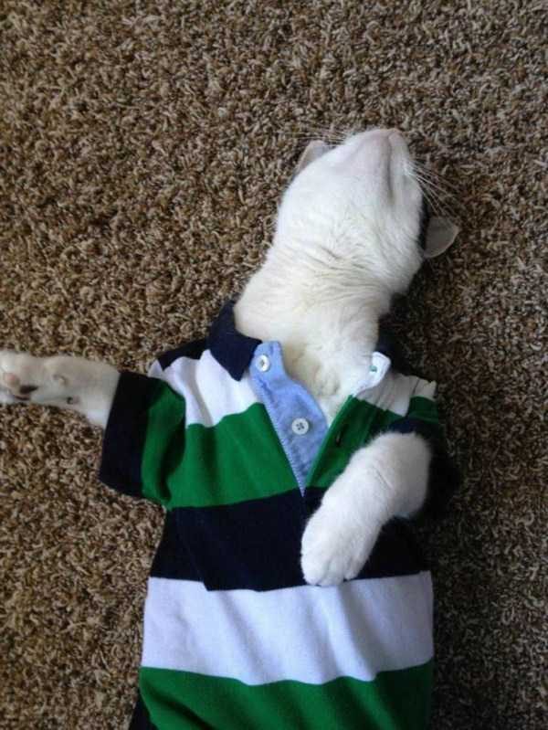 Klyker Picdump (133 photos)