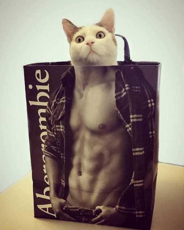 Klyker Picdump (147 photos)