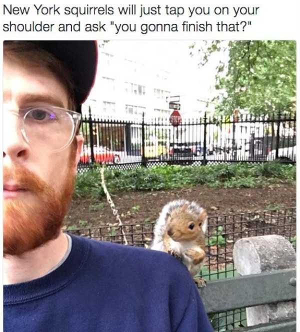 klyker funny picdump 7 15 600x664 Klyker Picdump (152 photos)