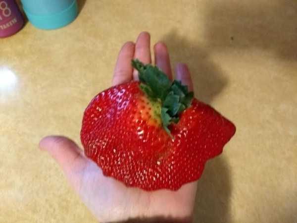 klyker funny picdump 70 7 600x450 Klyker Picdump (140 photos)