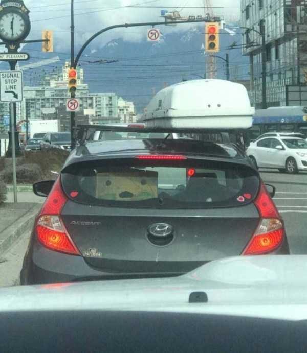 klyker funny picdump 71 14 600x691 Klyker Picdump (134 photos)