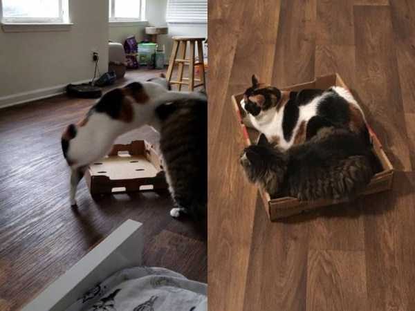 Klyker Picdump (133 photos)