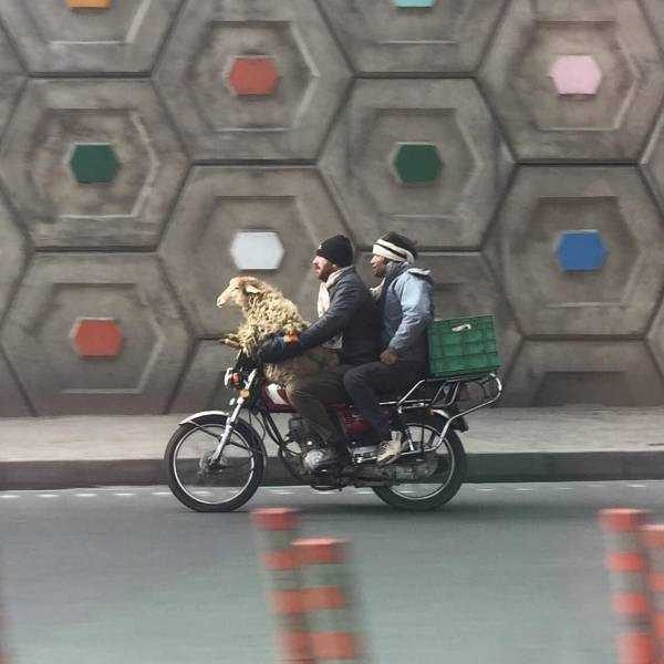 klyker funny picdump 74 7 600x600 Klyker Picdump (140 photos)