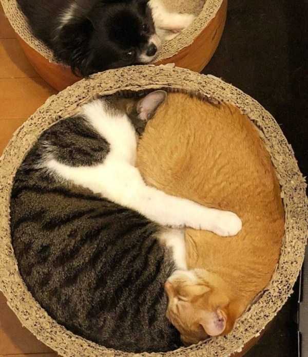 Klyker Picdump (127 photos)