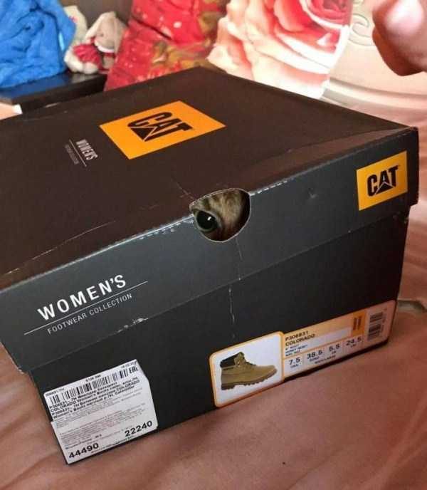 Klyker Picdump (127 photos)