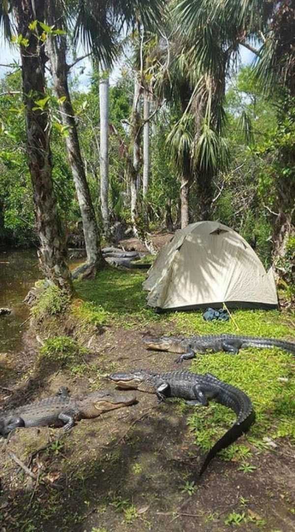 klyker funny picdump 77 15 600x1080 Klyker Picdump (152 photos)