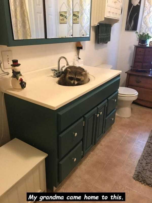 Klyker Picdump (147 photos)