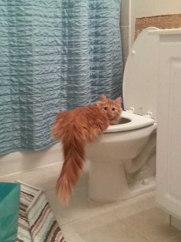 Klyker Picdump (127 photos)