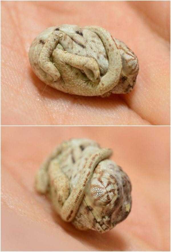 klyker funny picdump 83 15 600x883 Klyker Picdump (152 photos)