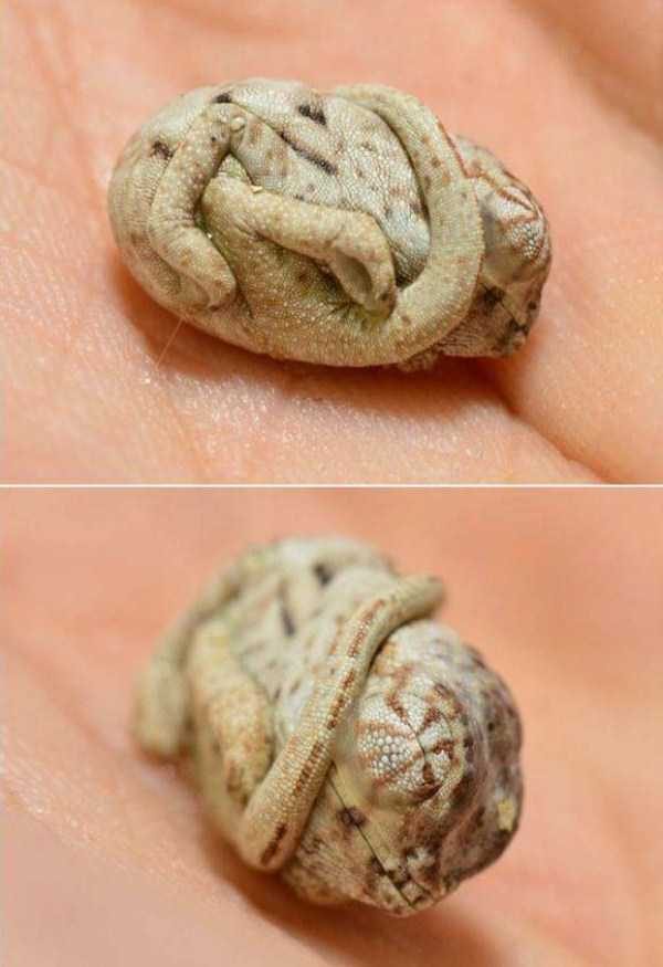 klyker funny picdump 87 14 600x875 Klyker Picdump (134 photos)