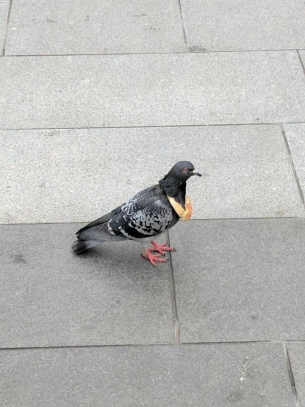 Klyker Picdump (127 photos)