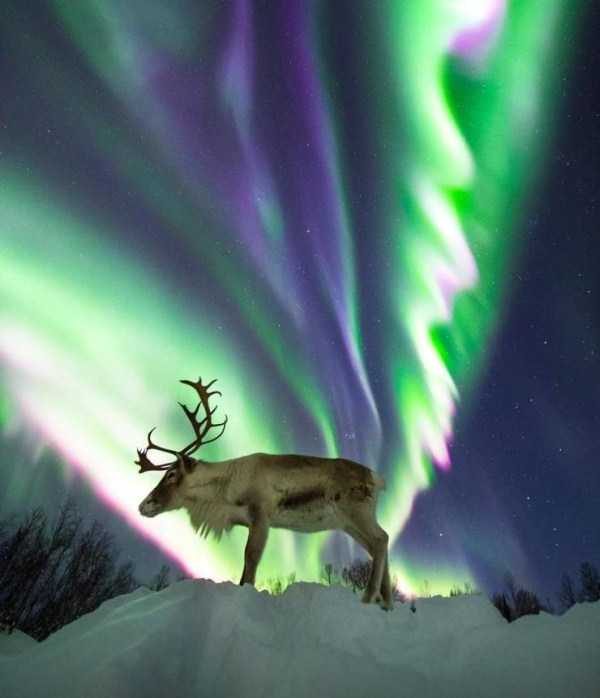 klyker funny picdump 88 7 600x698 Klyker Picdump (140 photos)