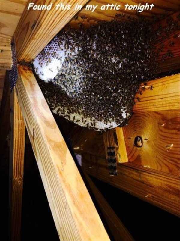 klyker funny picdump 90 15 600x800 Klyker Picdump (152 photos)