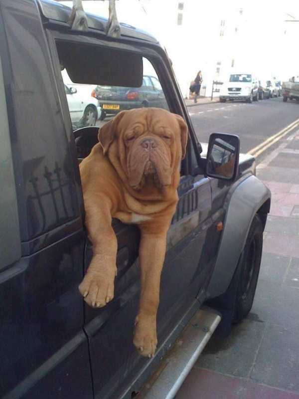 Klyker Picdump (127 photos)