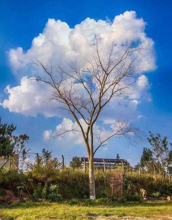 klyker funny picdump 91 7 600x768 Klyker Picdump (140 photos)