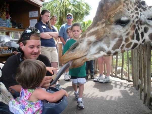 Klyker Picdump (133 photos)