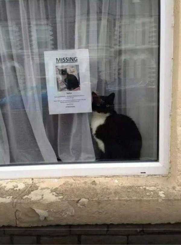 klyker funny picdump 96 7 600x812 Klyker Picdump (140 photos)