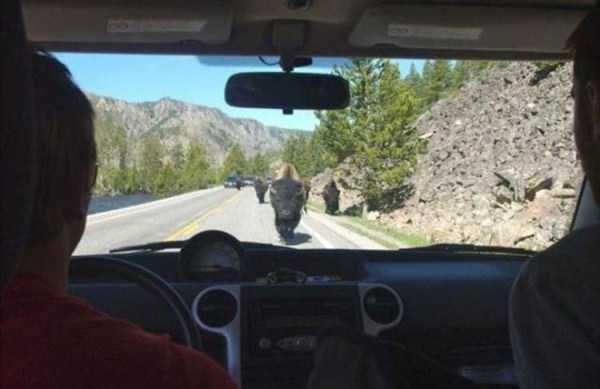 klyker funny picdump 97 15 600x389 Klyker Picdump (152 photos)