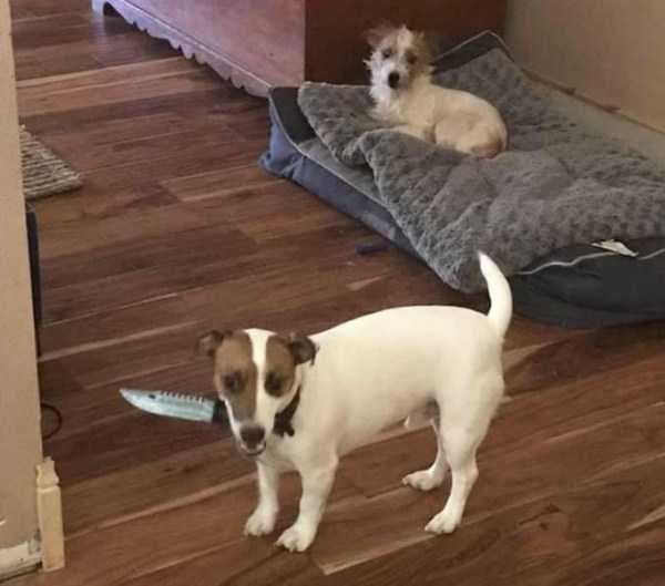 Klyker Picdump (133 photos)