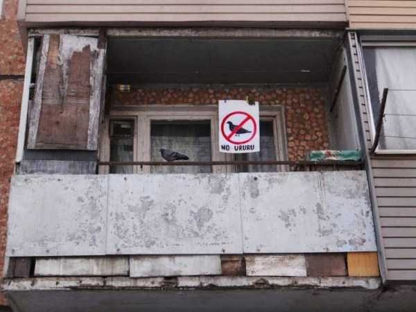 Klyker Picdump (133 photos)