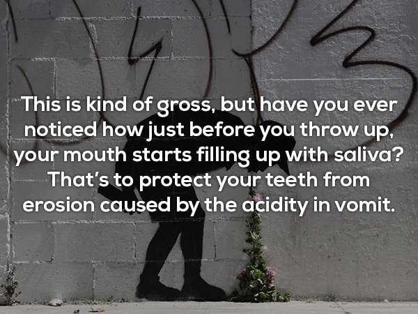 random facts 16 600x450 It’s Time For Some Cool And Interesting Facts – Part 88 (55 photos)