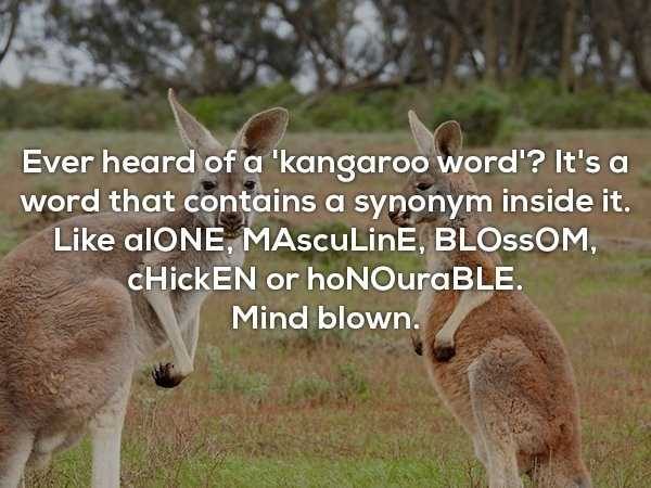 random facts 19 600x450 It’s Time For Some Cool And Interesting Facts – Part 88 (55 photos)