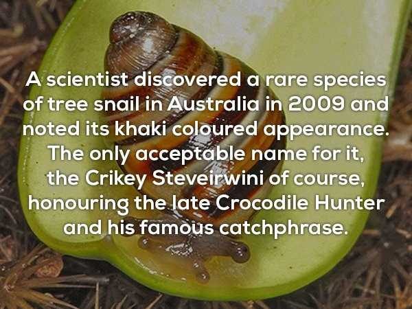 random facts 22 600x450 It’s Time For Some Cool And Interesting Facts – Part 88 (55 photos)