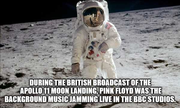 random facts 31 600x359 It’s Time For Some Cool And Interesting Facts – Part 88 (55 photos)