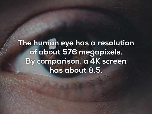 random facts 36 600x450 It’s Time For Some Cool And Interesting Facts – Part 88 (55 photos)