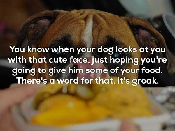 random facts 43 600x450 It’s Time For Some Cool And Interesting Facts – Part 88 (55 photos)