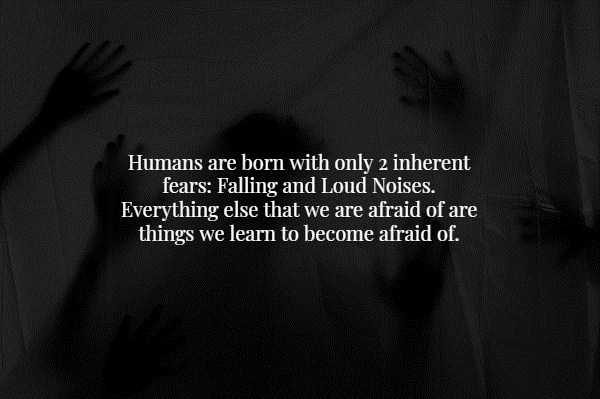 random facts 55 600x399 It’s Time For Some Cool And Interesting Facts – Part 88 (55 photos)