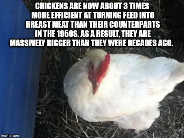 It’s Time For Some Cool And Interesting Facts – Part 89 (80 photos)