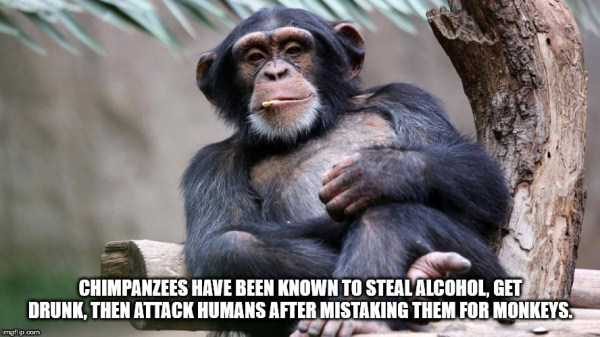 It’s Time For Some Cool And Interesting Facts – Part 89 (80 photos)