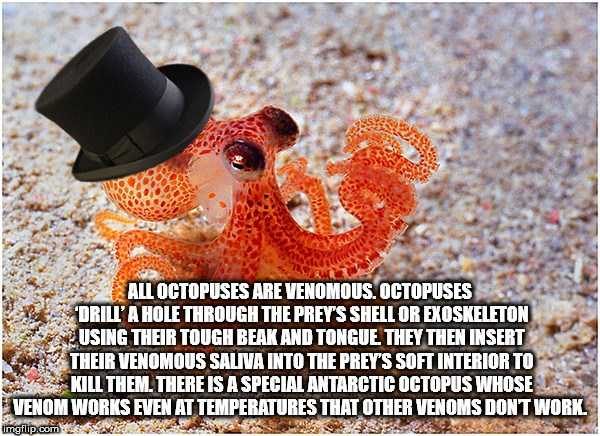 It’s Time For Some Cool And Interesting Facts – Part 89 (80 photos)