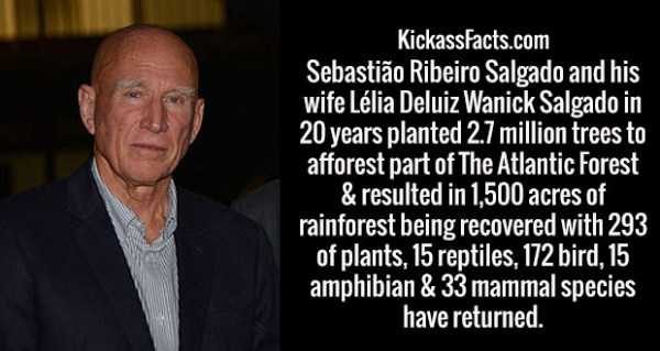 It’s Time For Some Cool And Interesting Facts – Part 89 (80 photos)