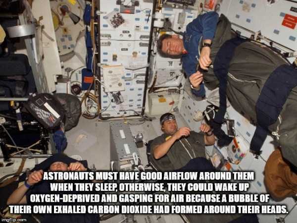 It’s Time For Some Cool And Interesting Facts – Part 89 (80 photos)