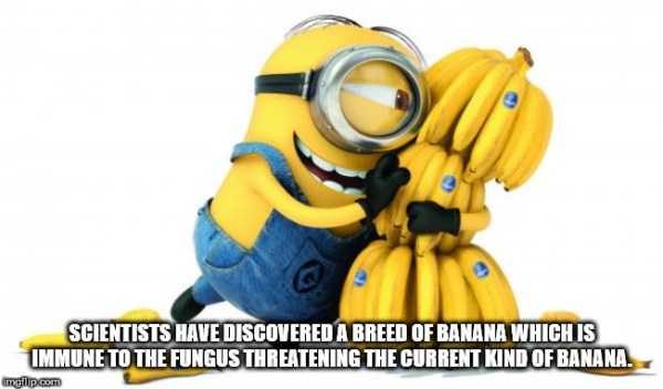 It’s Time For Some Cool And Interesting Facts – Part 89 (80 photos)