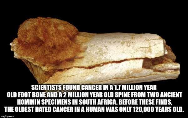 It’s Time For Some Cool And Interesting Facts – Part 89 (80 photos)