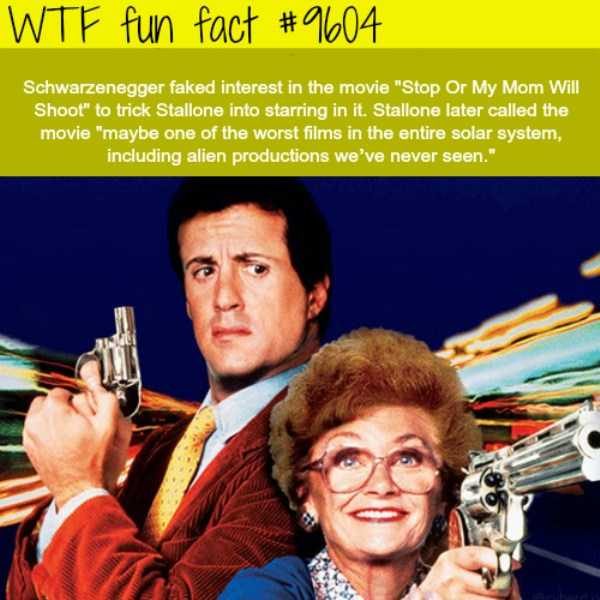 It’s Time For Some Cool And Interesting Facts – Part 89 (80 photos)