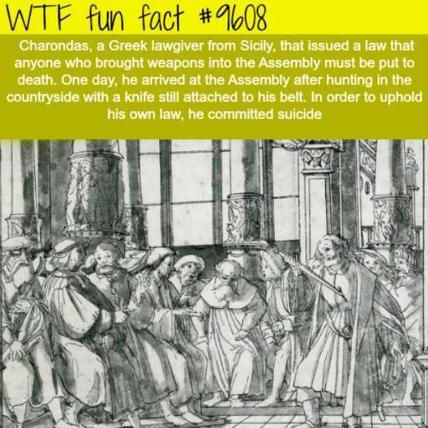 It’s Time For Some Cool And Interesting Facts – Part 89 (80 photos)