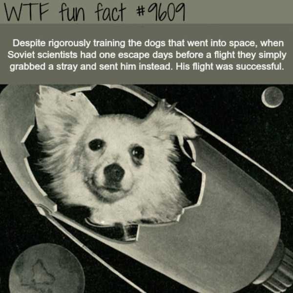 It’s Time For Some Cool And Interesting Facts – Part 89 (80 photos)