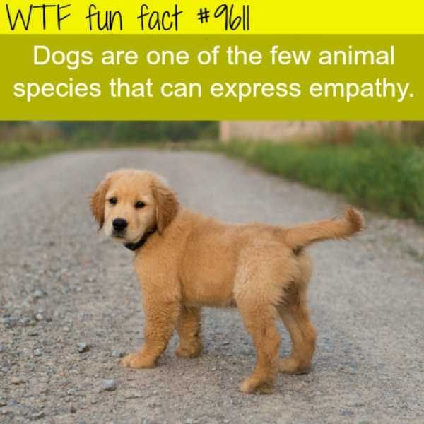 It’s Time For Some Cool And Interesting Facts – Part 89 (80 photos)