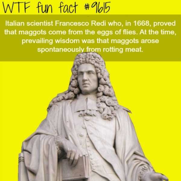 It’s Time For Some Cool And Interesting Facts – Part 89 (80 photos)