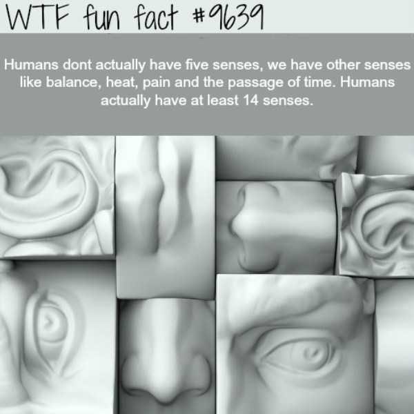 random fun facts 64 1 600x600
