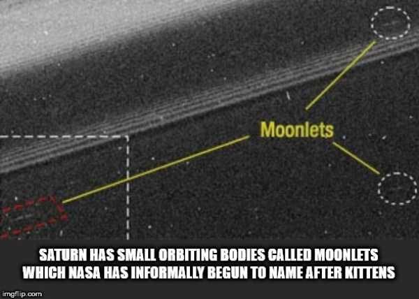 It’s Time For Some Cool And Interesting Facts – Part 89 (80 photos)