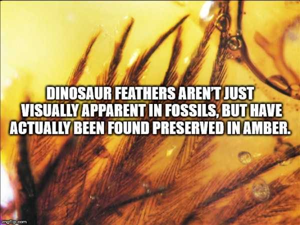 It’s Time For Some Cool And Interesting Facts – Part 89 (80 photos)