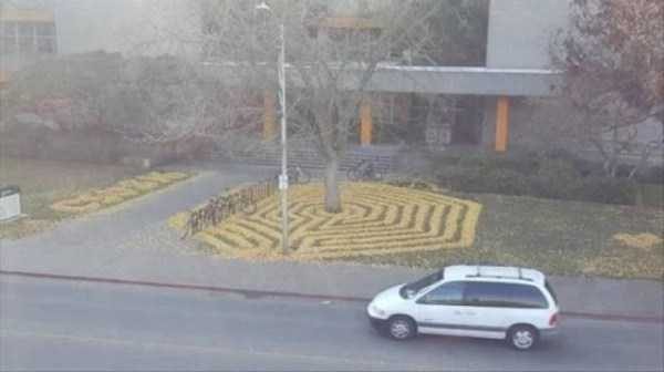 There Are So Many Talented People Out There (36 photos)