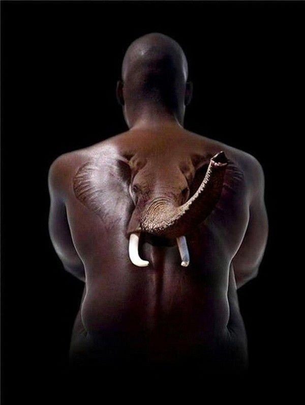 35 Mind Bending 3D Tattoos (35 photos)