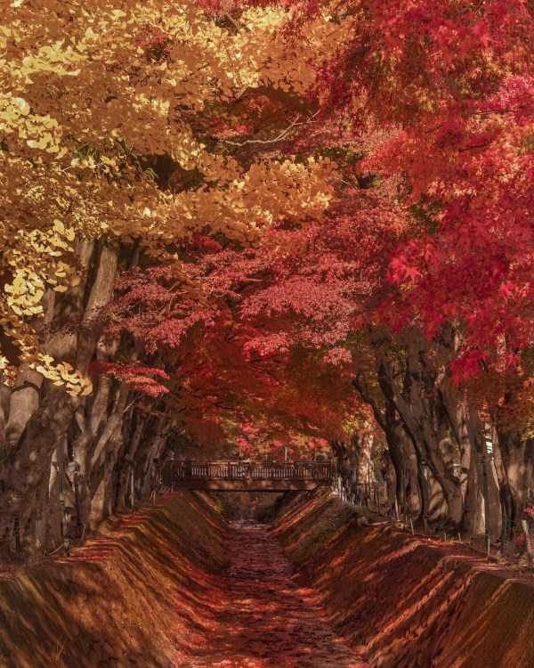 40 Breathtaking Landscapes (40 photos)