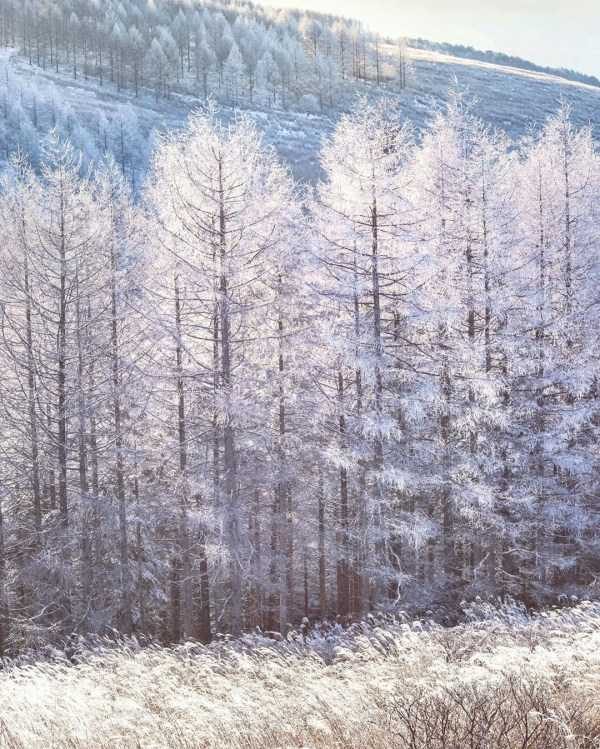 40 Breathtaking Landscapes (40 photos)